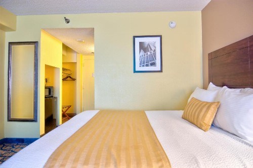 The Barrymore Hotel Tampa Riverwalk - image 4