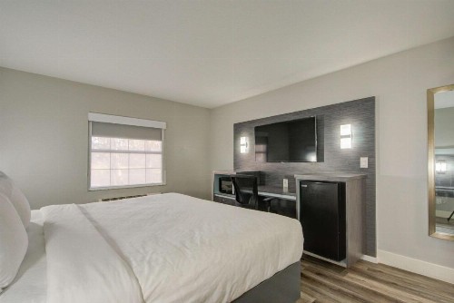 Quality Inn & Suites Tampa - Brandon Near Casino - image 7