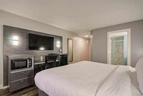 Quality Inn & Suites Tampa - Brandon Near Casino - image 8
