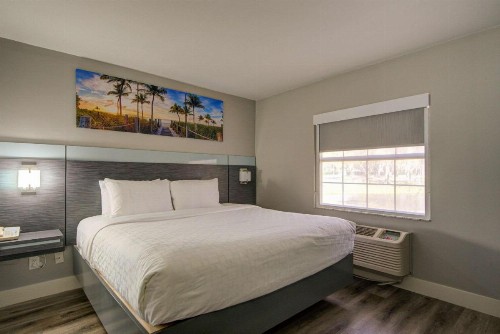 Quality Inn & Suites Tampa - Brandon Near Casino - image 9