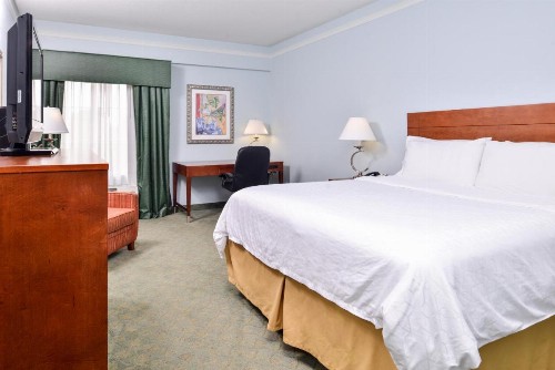 Holiday Inn Express Tampa North Telecom Park an IHG Hotel - image 18