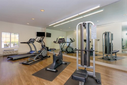Holiday Inn Express Tampa North Telecom Park an IHG Hotel - image 19