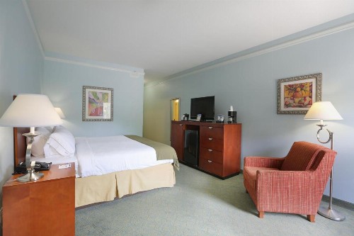 Holiday Inn Express Tampa North Telecom Park an IHG Hotel - image 22