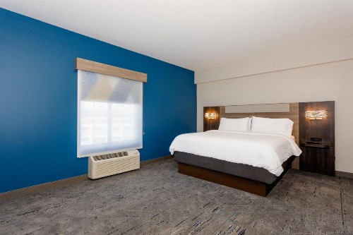 Holiday Inn Express Tampa North Telecom Park an IHG Hotel - image 34