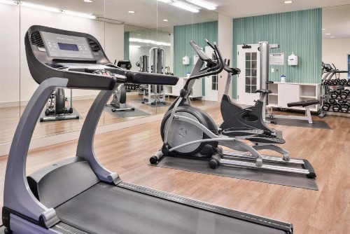 Holiday Inn Express Tampa North Telecom Park an IHG Hotel - image 37