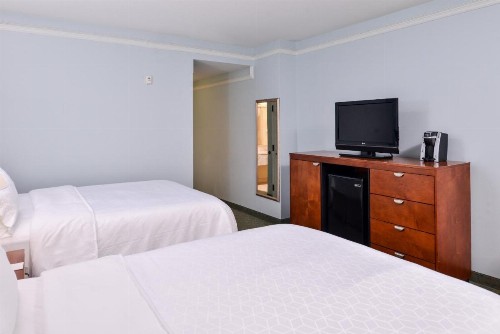 Holiday Inn Express Tampa North Telecom Park an IHG Hotel - image 42
