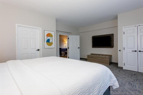 Holiday Inn Express Tampa North Telecom Park an IHG Hotel - image 43