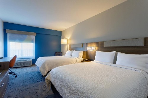 Holiday Inn Express Tampa North Telecom Park an IHG Hotel - image 49