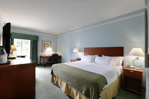 Holiday Inn Express Tampa North Telecom Park an IHG Hotel - image 7