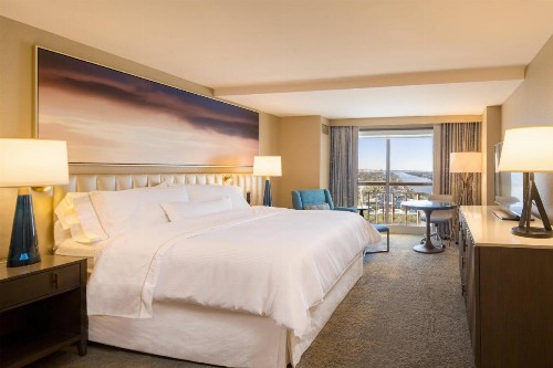 The Westin Tampa Waterside - image 5