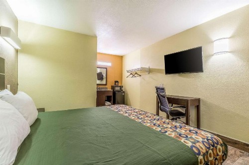 Rodeway Inn Tampa Fairgrounds-Casino - image 16