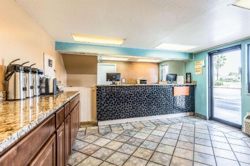 Rodeway Inn Tampa Fairgrounds-Casino - image 8
