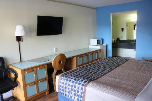 Tampa Inn Near Busch Gardens - image 12