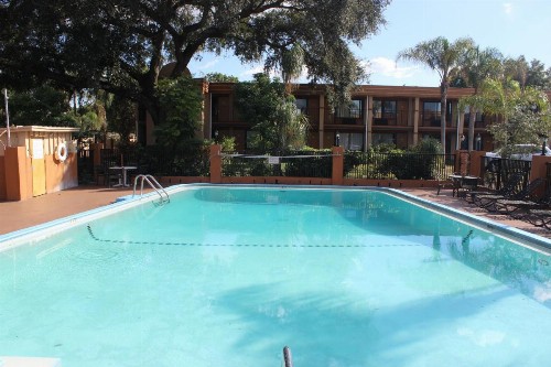 Tampa Inn Near Busch Gardens - image 19