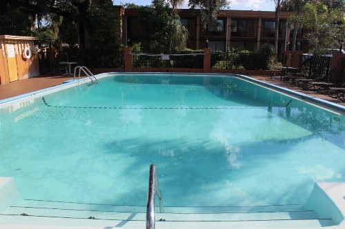 Tampa Inn Near Busch Gardens - image 2