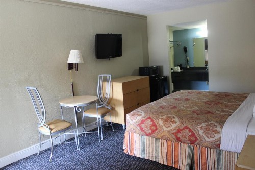 Tampa Inn Near Busch Gardens - image 21