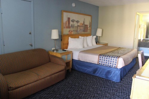 Tampa Inn Near Busch Gardens - image 28