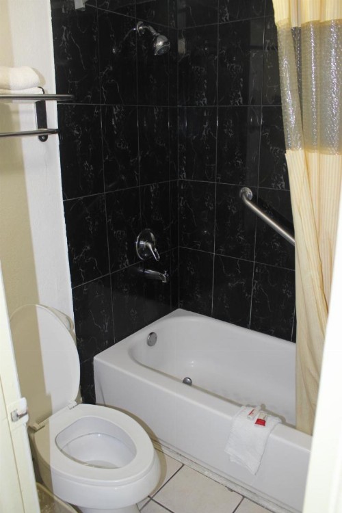 Tampa Inn Near Busch Gardens - image 30