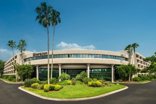 Sheraton Tampa Brandon Hotel - image 19