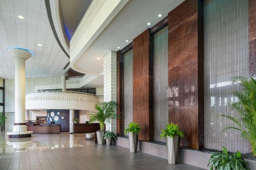 Sheraton Tampa Brandon Hotel - image 2