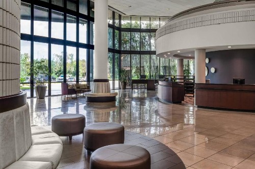 Sheraton Tampa Brandon Hotel - image 21