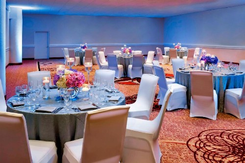 Sheraton Tampa Brandon Hotel - image 26