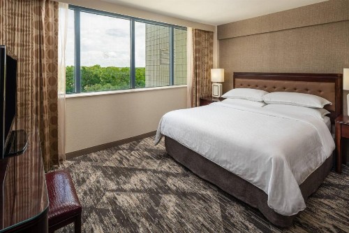 Sheraton Tampa Brandon Hotel - image 4