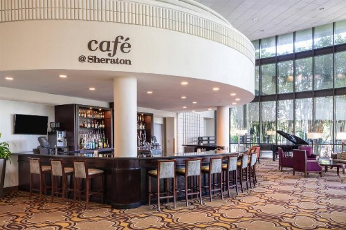 Sheraton Tampa Brandon Hotel - image 5
