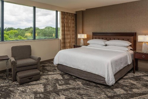Sheraton Tampa Brandon Hotel - image 7