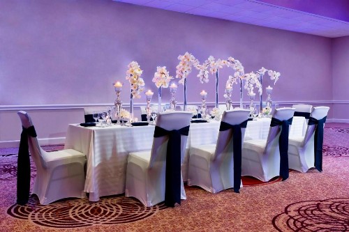Sheraton Tampa Brandon Hotel - image 8