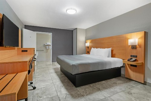 Clarion Inn and Conference Center Tampa-Brandon - image 18