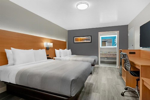 Clarion Inn and Conference Center Tampa-Brandon - image 5