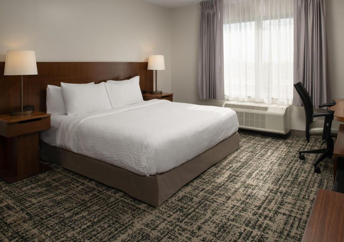 Fairfield Inn & Suites by Marriott Tampa Westshore/Airport - image 3