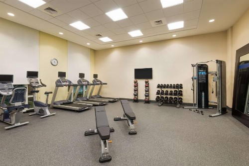 Hampton Inn & Suites Tampa Airport Avion Park Westshore - image 29