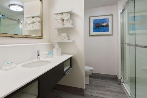 Hampton Inn & Suites Tampa Airport Avion Park Westshore - image 4