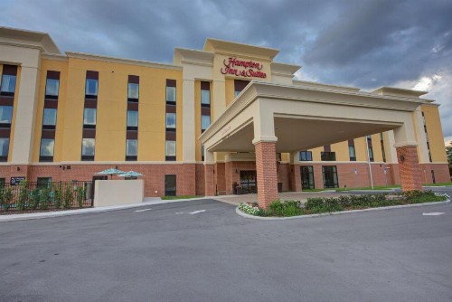 Hampton Inn & Suites by Hilton Tampa Busch Gardens Area - image 10