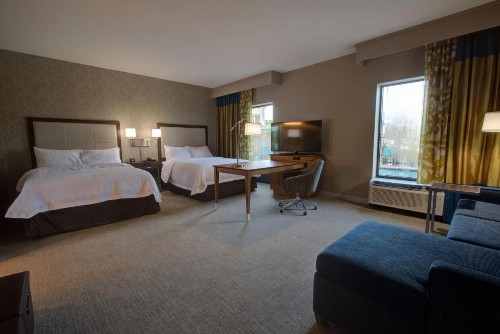 Hampton Inn & Suites by Hilton Tampa Busch Gardens Area - image 11