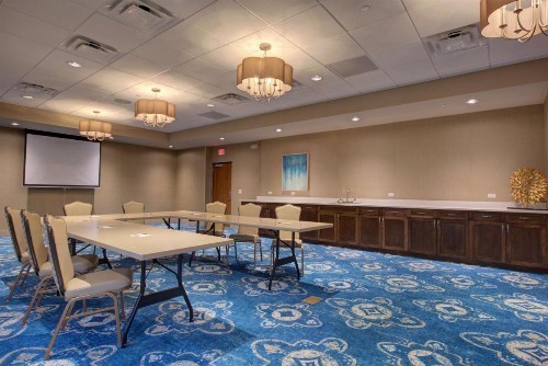 Hampton Inn & Suites by Hilton Tampa Busch Gardens Area - image 13