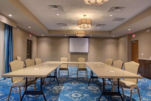 Hampton Inn & Suites by Hilton Tampa Busch Gardens Area - image 14