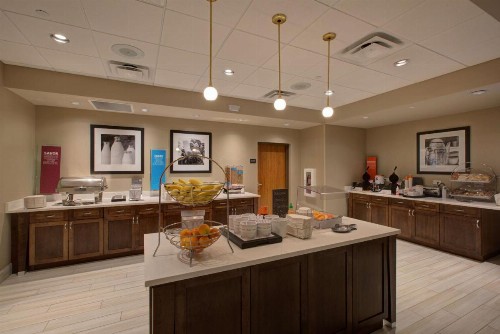 Hampton Inn & Suites by Hilton Tampa Busch Gardens Area - image 3