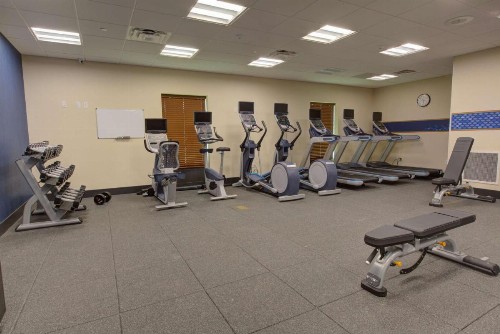 Hampton Inn & Suites by Hilton Tampa Busch Gardens Area - image 7