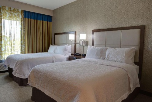 Hampton Inn & Suites by Hilton Tampa Busch Gardens Area - image 8
