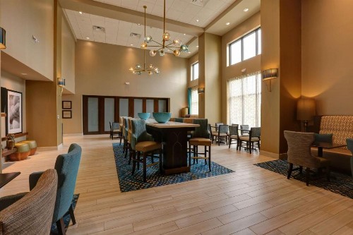 Hampton Inn & Suites by Hilton Tampa Busch Gardens Area - image 9