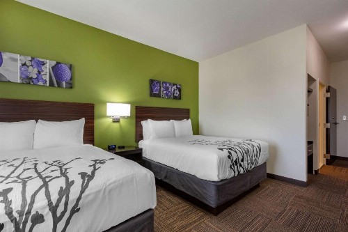 Sleep Inn & Suites Tampa South - image 13