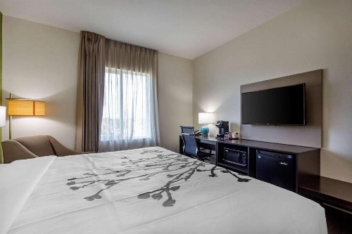Sleep Inn & Suites Tampa South - image 15