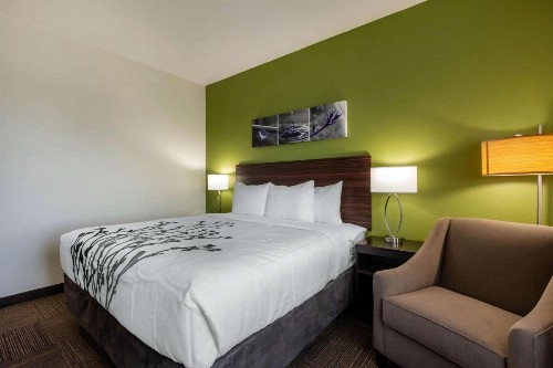 Sleep Inn & Suites Tampa South - image 16