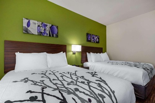 Sleep Inn & Suites Tampa South - image 19