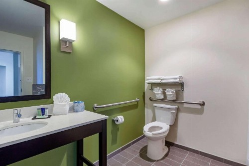Sleep Inn & Suites Tampa South - image 25