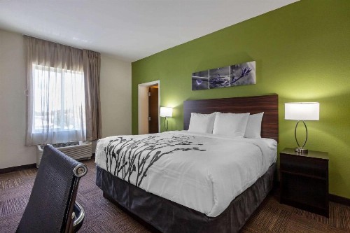 Sleep Inn & Suites Tampa South - image 27
