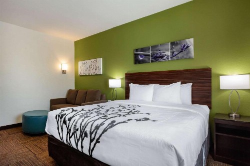 Sleep Inn & Suites Tampa South - image 33